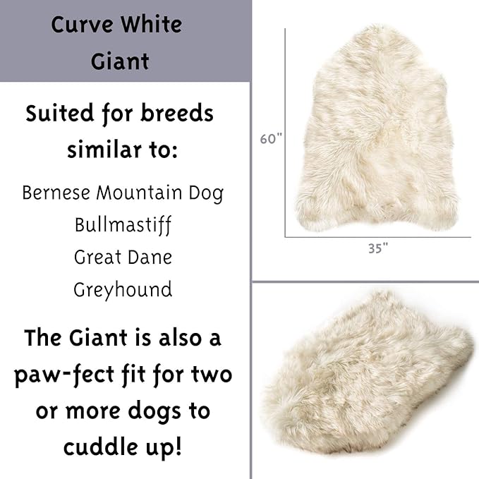 PupRug Orthopedic Dog Bed for Large Dogs with Fluffy Soft Faux Fur and Memory Foam for Joint Pain Relief, Machine Washable and Waterproof Couch Bed, White, Extra Large