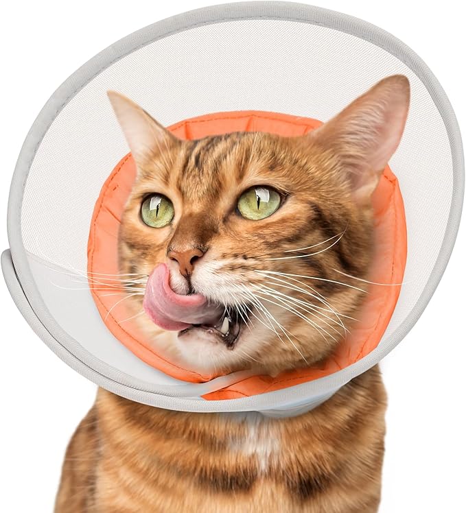 Cat Cone Collar Soft: Comfortable Waterproof Mesh Recovery Cone After Surgery to Stop Licking and Scratch, Alternative to Plastic Elizabeth Head/Neck Cone for Large Cats and Small Dogs
