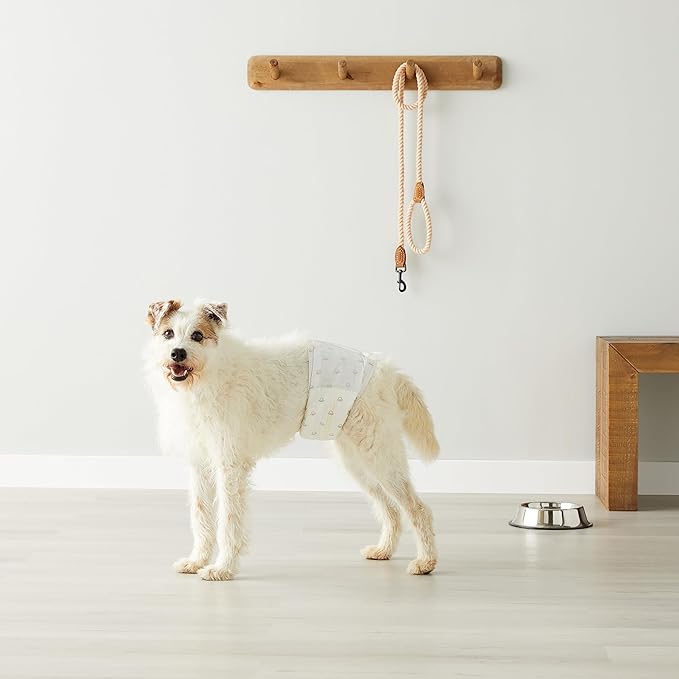 Amazon Basics Male Dog Diapers, 30 Count, Medium, Ultra Absorbent Disposable Wrap with Secure Fit, Leakproof and Comfortable