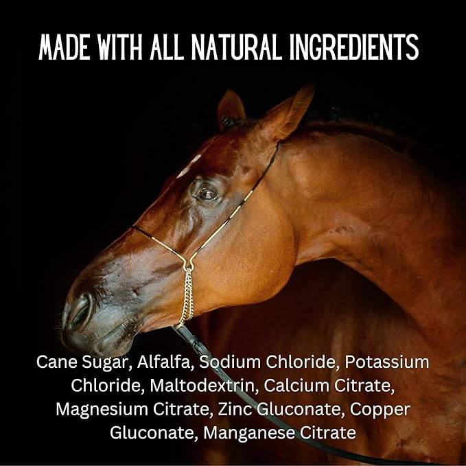 Gallagher's Water 12 Pack All-Natural Equine Hydration Treat - Enhancement Powder Mix Horse Drink Treat to Help Encourage to Drink Water - Made with All Natural Ingredients, FEI Compliant