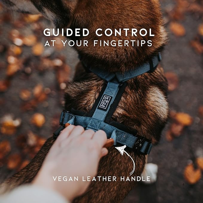 MADE TO ROAM Premium Explorer Harness - Y-Shaped Dog Harness with Adjustable Durable Nylon, Soft Padding, Metal Buckles and Leather Handle for Small, Medium, Large Dogs (Maine Marina, Size 5)