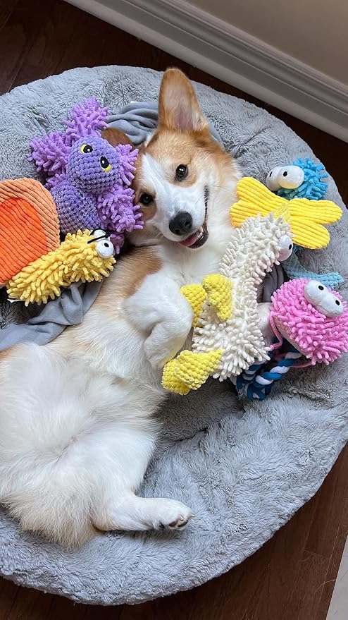 Nocciola Small Medium Large Dog Toys, Cute Soft Squeaky Crinkle Plush Stuffed Durable Pet Teething Animal Chew Toys for Small to Large Breed, Cognitive Stimuting Boredom Puppy Busy Birthdays Gifts