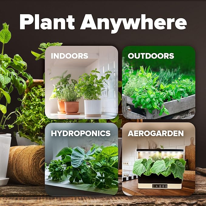 HOME GROWN π¨π¦π π£π₯ππ ππ¨π 10 Variety Vegetable 2,000+ π‘π’π‘-ππ π’ Seeds (Kale Lettuce Tomato Broccoli Beans Peas Bell Peppers Carrot Cucumber Radish) β Indoor & Outdoor Garden Survival Seeds