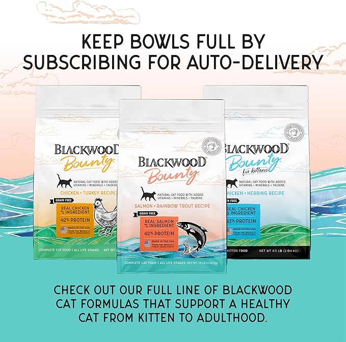 Blackwood Bounty Dry Cat Food, Salmon & Rainbow Trout Recipe for All Life Stages, 10 Pound Bag, High Protein, Grain Free