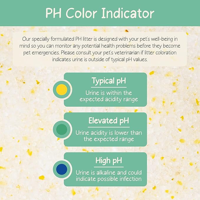 Kitty City PH Crystals Cat Litter 6LB