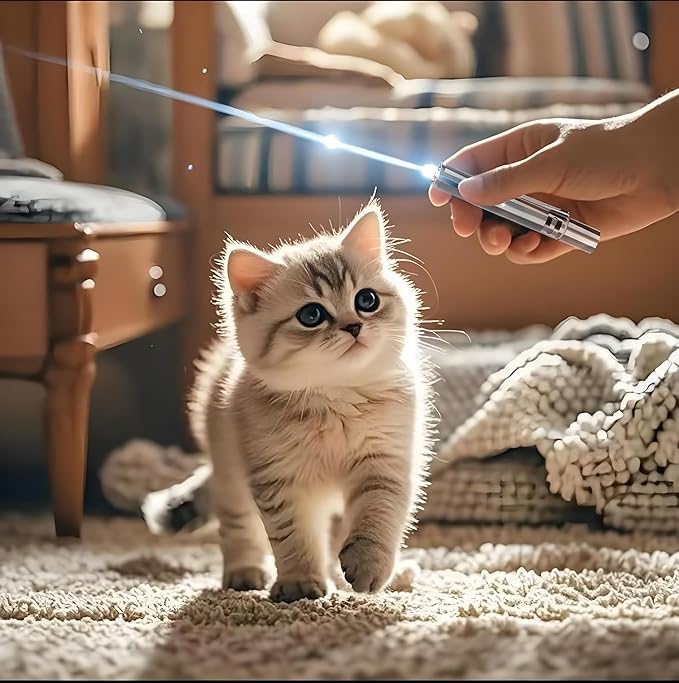 Cat Toy Pointer for Indoor, USB Rechargeable Toy, 3 Light Colors Cat Interactive Toys for Dogs, Cats, Pet Chase Toy for Fun Playing Training Exercise Indoors