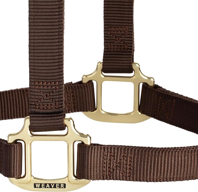 Weaver Equine Nylon Horse Halter, Triple-Ply Cheek Design, Original Non Adjustable Halters for Horses, Equine Tack,Average Size, Black