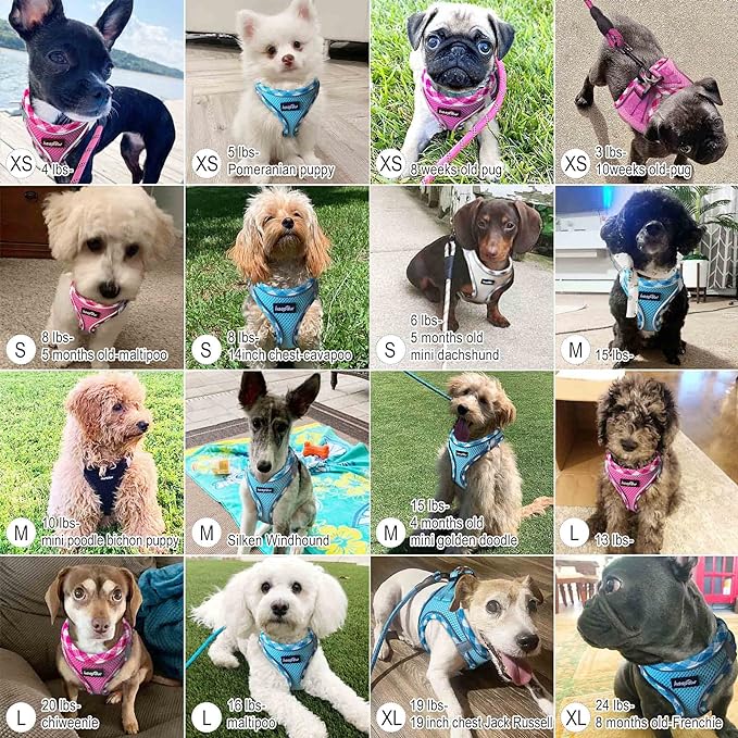 haapaw Dog Harness with Leash Set, No Pull Adjustable Reflective Step-in Puppy Harness with Thickened Padded Vest for Extra-Small/Small Medium Dogs