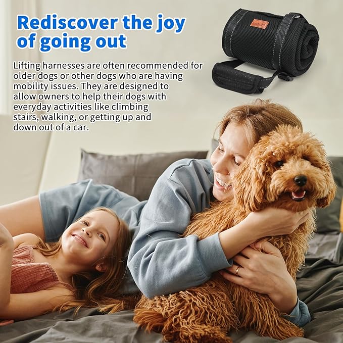 LOOBANI Portable Dog Sling for Back Legs, Hip Support Harness to Help Lift Dogs Rear for Canine Aid and Old K9 Cruciate Ligament Rehabilitation