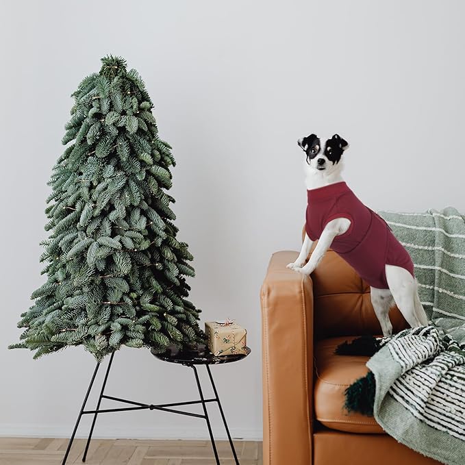 Kuoser Dog Surgery Recovery Suit, Recovery Suit for Female Male Dogs, Dog Onesie After Surgery Spay Neuter, Anti-Licking Pet Surgical Recovery Snugly Suit, Bodysuit for Abdominal Wounds Skin Disease