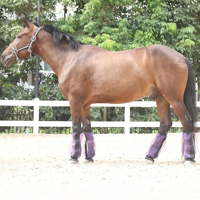 Horse Fly Boots Set of 4, Ultra Lightweight Breathable Mesh Leg Wraps, Non-Slip Fit, Reduce Stomping, Universal Size, Ideal for Summer Violet