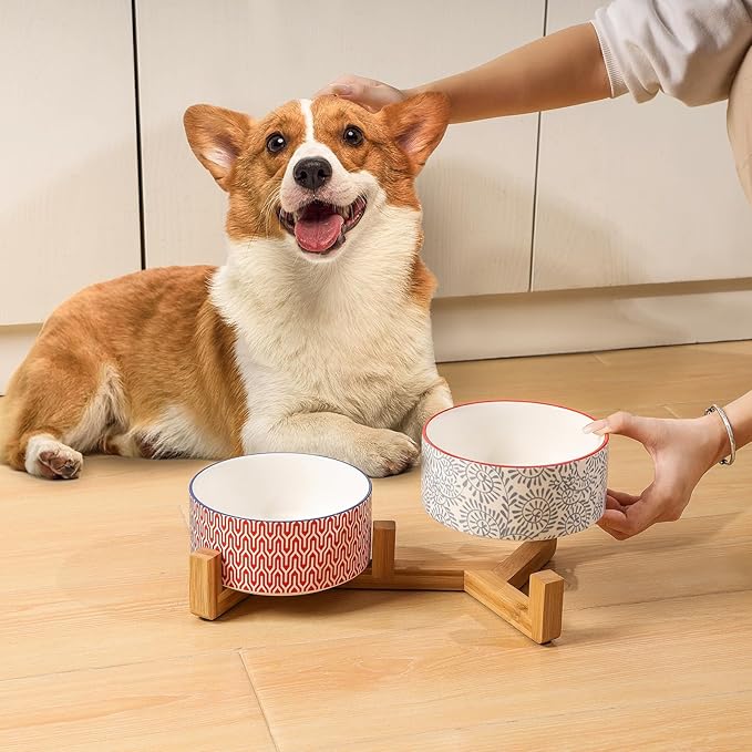 Selamica Ceramic 30 OZ Dog Bowls, Dog Food and Water Bowls with Wooden Stand, Anti-Slip Dog Dishes Set for Cats Small & Medium Sized Dogs, Weighted Pet Bowls Set of 2, Assorted Colors B