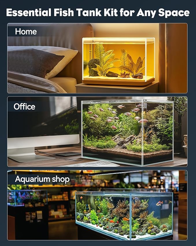 Pawfly 5 Gallon Fish Tank Ultra Clear Rimless Glass Aquarium Kit with Extendable LED Light Internal Filter Magnetic Brush & Thermometer Stickers Rectangular Glass Fish Tank Kit for Betta Shrimp Plants