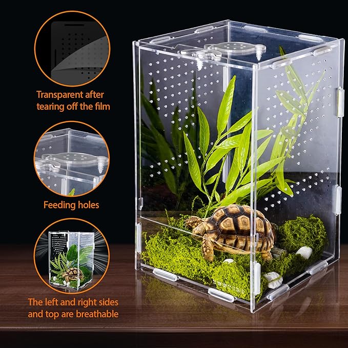 Jumping Spider Enclosure, Acrylic Insect Terrarium, Bug Enclosure, Reptile Cage, Mantis Habitat, Arboreal Tarantula Enclosure, Snake Terrarium Kit, Scorpion Lizard Tank
