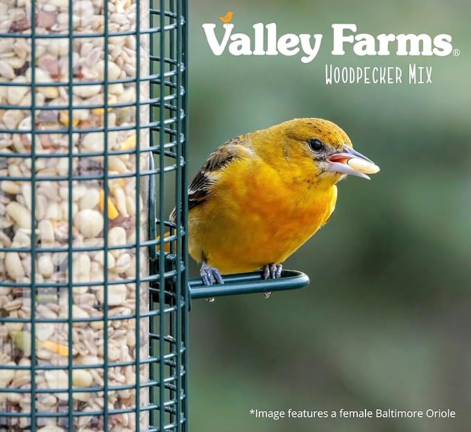 Valley Farms Woodpecker Mix (15 LB) Wild Bird Food for Outdoor Feeders, No Mess Bird Seed, W/Peanuts and Sunflower Hearts for Birds, Woodpecker Food, Attract All Bird Species