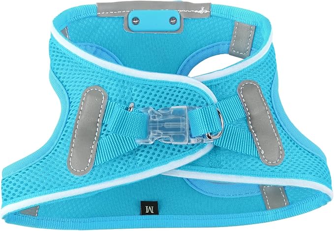 Light Up Dog Harness,Rechargeable LED Dog Harness for Small Medium Large Dogs,Reflective Lighted Safety Vest for Night Walking & Camping,Lightweight & Adjustable,Blue,S