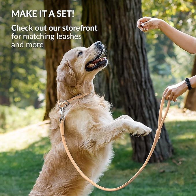 CollarDirect Rolled Leather Dog Collar, Soft Padded Round Puppy Collar, Handmade Genuine Leather Collar Dog Small Large Cat Collars 13 Colors (11-14 Inch, Beige Smooth)