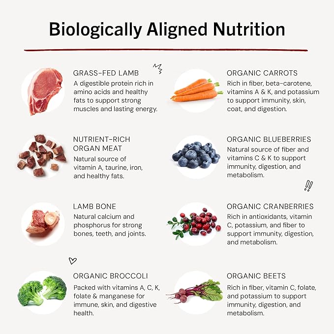 Stella & Chewy's Freeze-Dried Raw Dinner Patties - Dandy Lamb Recipe - High Protein Grain-Free Puppy & Dog Food - Perfect For Picky Eaters - 25 oz