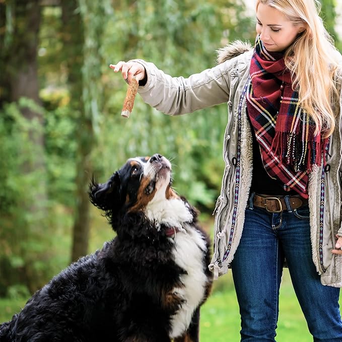 ASMPET Dog Treats, Chicken Wrapped Rawhide Sticks Filled with Sweet Potato for Small Medium Large Dogs(6pcs)