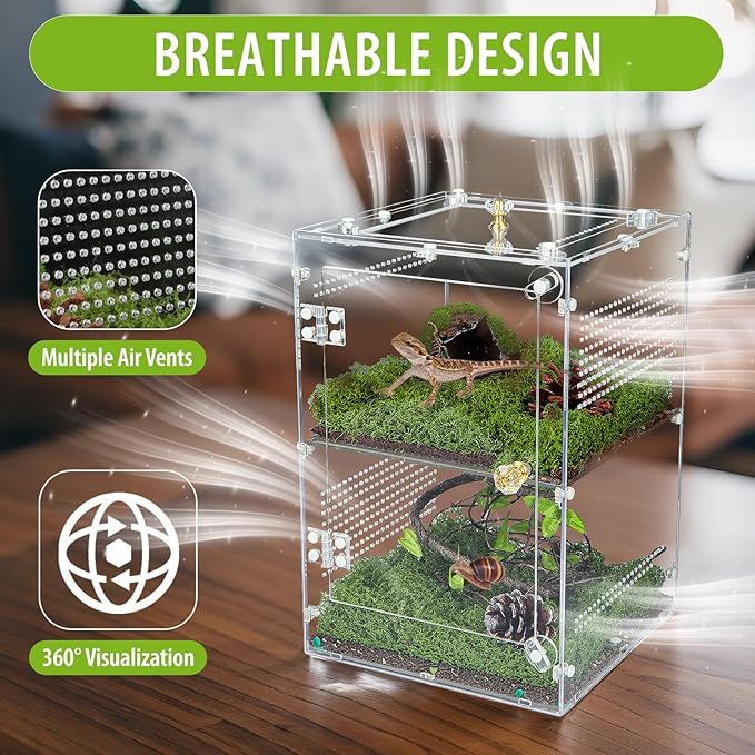 Large Jumping Spider Enclosure, 2 in 1 Acrylic Reptile Terrarium for Praying Mantis,Arboreal Tarantula,Frogs,Snails, 12"*8"*8" Breeding Habitat with Front & Top Opening Doors and Vent Holes