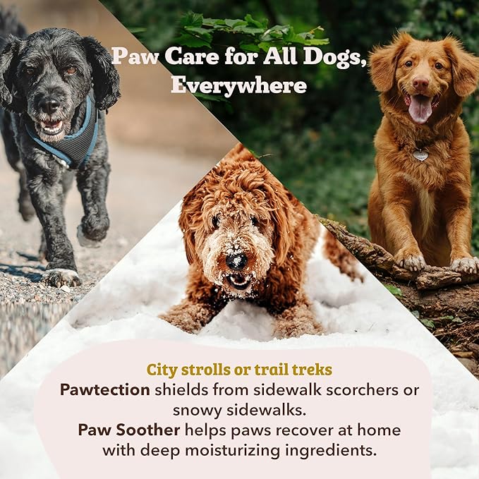 Natural Dog Company PawTection Dog Paw Balm, 4 Pack, Protects Paws from Hot Surfaces, Sand, Salt, & Snow, Organic, All Natural Ingredients (0.15 oz Travel Stick) X 4