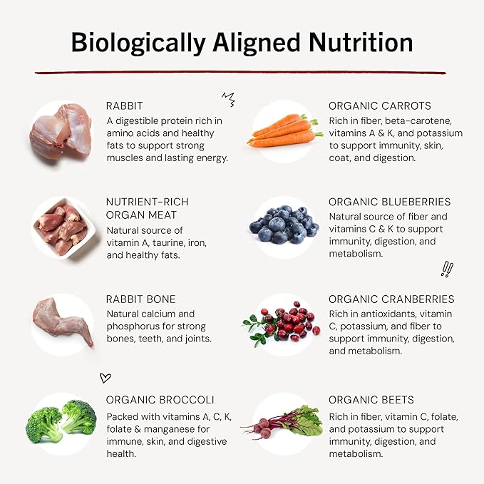 Stella & Chewy's Freeze-Dried Raw Dinner Patties - Absolutely Rabbit Recipe - High Protein Grain-Free Puppy & Dog Food - Perfect For Picky Eaters - 5.5 oz