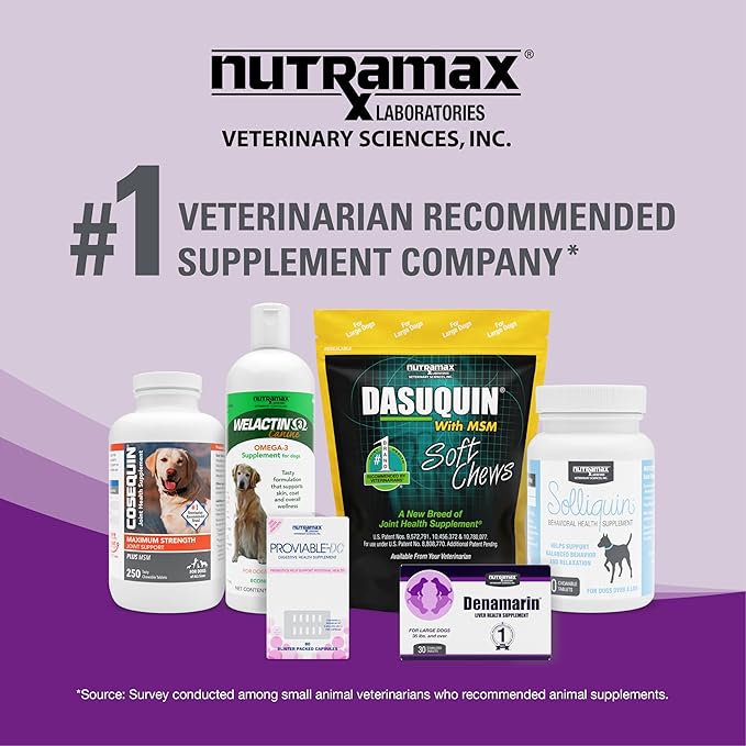 Nutramax Dasuquin Joint Health Supplement for Cats - With Glucosamine, Chondroitin, ASU, Boswellia Serrata Extract, Green Tea Extract, and Omega-3, 84 Soft Chews