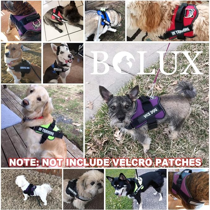 Bolux Dog Harness, No-Pull Reflective Dog Vest, Breathable Adjustable Pet Harness with Handle for Outdoor Walking - No More Pulling, Tugging or Choking (Red, M)