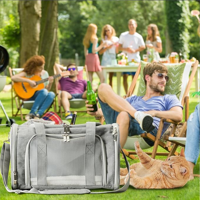 Roaringkitty Travel in Style: Portable Pet Carrier for Small Pets up to 15 Lbs- Airline Approved, Collapsible & Comfortable cat/Puppy Soft Sided Bag (Grey)