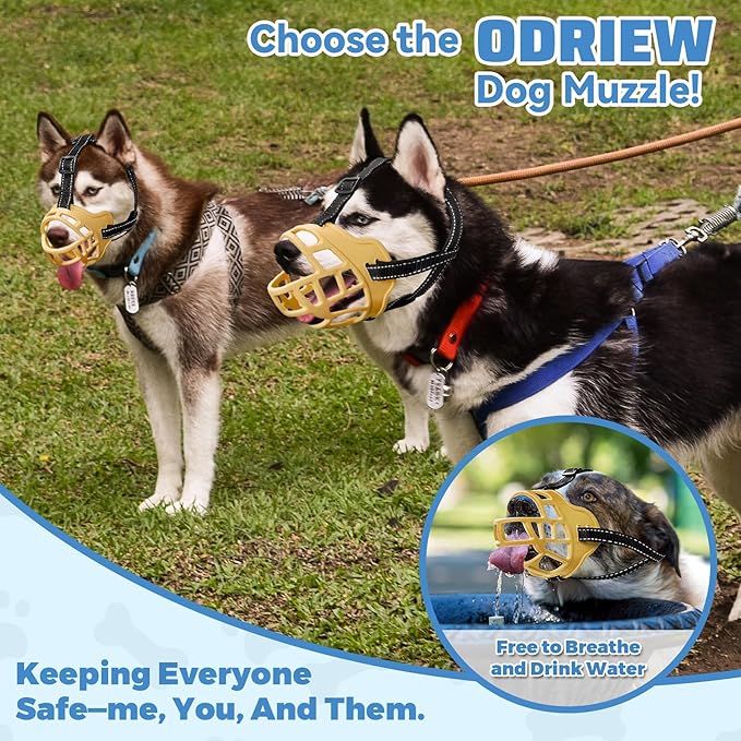 Dog Muzzle for Large Dogs, Breathable Basket Muzzles for Small, Medium and X-Large Aggressive Dog, Allows Panting Drinking, Suitable for Grooming Trimming Training (3, Luminous Orange)