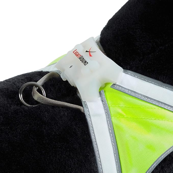 Noxgear LightHound – Revolutionary Illuminated and Reflective Harness for Dogs Including Multicolored LED Fiber Optics (USB Rechargeable, Adjustable, Lightweight, Rainproof) (Large)