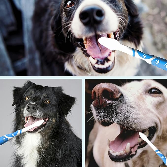 Leoezx™ Professional Pet Toothbrush(4Pcs), Dog & Cat Soft Bristle Double-Sided Brush Head Set, Pet Brushing Teeth to Clean Teeth to Reduce Tartar Buildup, Pet Dental Care Essentials