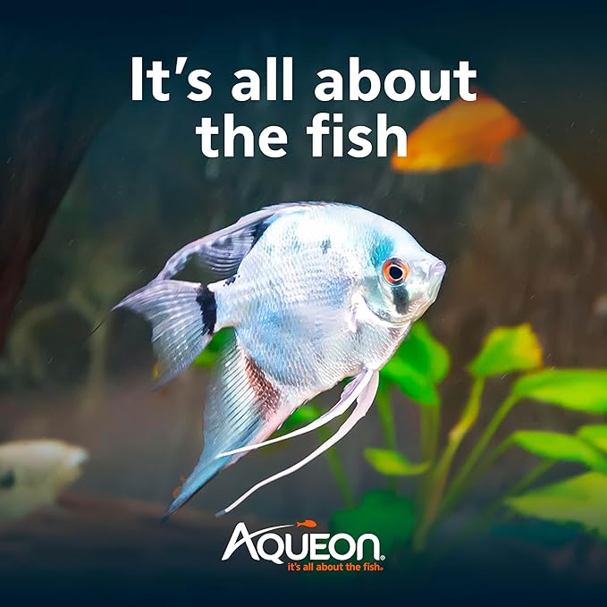 Aqueon 20 Gallon Aquarium Starter Kit with SmartClean Filtration and LED Lighting for Tropical Freshwater Fish