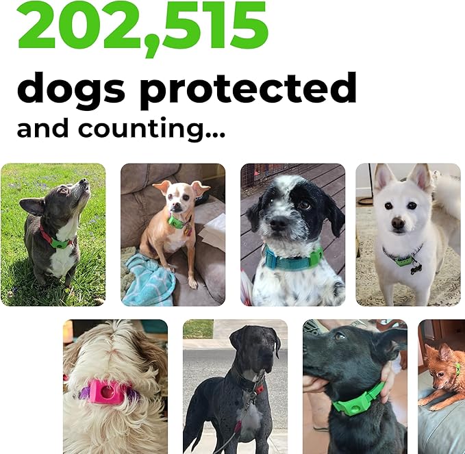 FurLife Blue Dog Tag, Flea and Tick Prevention for Dogs - Waterproof Pendant for Collar, Safe for All Breeds