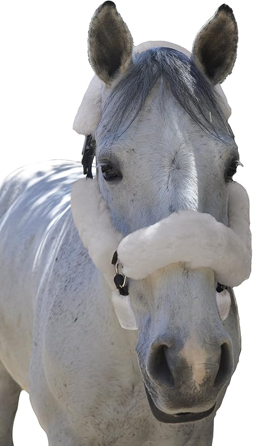 ECP Equine Comfort Products Merino Sheepskin Halter Fleece Set for Horses, 100% Natural Wool, Chafe Protection, Breathable Relief & Cushioned Comfort, Machine Washable, 6-Piece Set