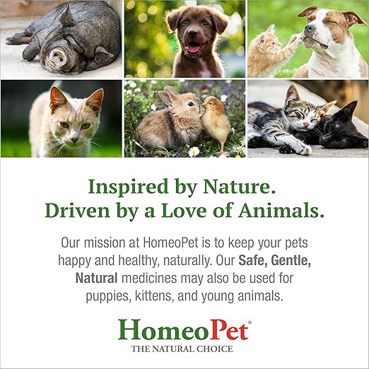 HomeoPet Feline Digestive Upsets, Safe and Natural Cat Digestive Support, 15 Milliliters