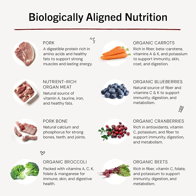 Stella & Chewy's Freeze-Dried Raw Dinner Patties - Purely Pork Recipe - High Protein Grain-Free Puppy & Dog Food - Perfect For Picky Eaters - 14 oz