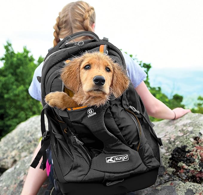Kurgo G-Train - Dog Carrier Backpack for Small Pets - Cat & Dog Backpack for Hiking, Camping or Travel - Chest Straps & Hip Belt - Reflective - Two Water Bottle Sleeves - Waterproof Bottom (Black)