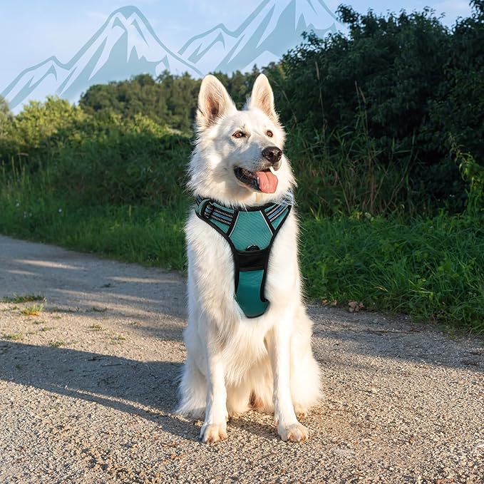 Eagloo Dog Harness Large Breed, No Pull Service Vest with Reflective Strips and Control Handle, Adjustable and Comfortable for Easy Walking, No Choke Pet Harness with 2 Metal Rings, Dark Green, XL