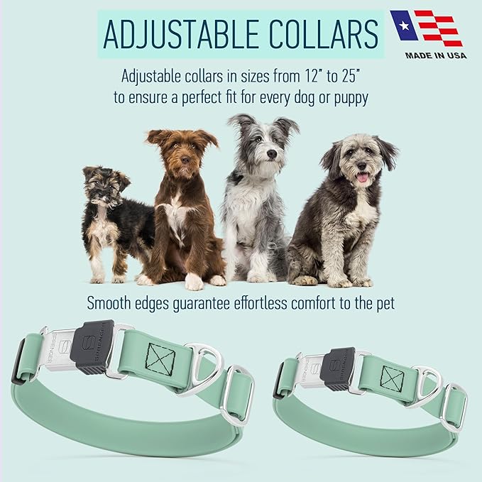 Dogline Biothane Waterproof Dog Collar with Herm Sprenger Black Stainless Steel Quick Release Buckle – Heavy Duty Tactical Durable Collar for Dogs – Comfortable, Safe Pet Collar W1 L15-25 Sage Green
