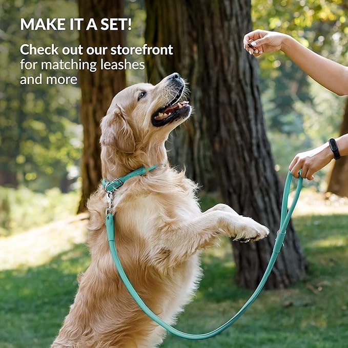 CollarDirect Rolled Leather Dog Collar, Soft Padded Round Puppy Collar, Handmade Genuine Leather Collar Dog Small Large Cat Collars 13 Colors (6 Inch, Mint Green Smooth)