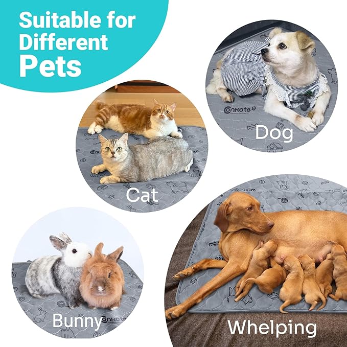 Washable Pee Pads for Dogs 2 Pack, 34" x 36" Reusable Puppy Training Pads Heavy Absorbency Dog Playpen Mats Waterproof with Non-Slip Bottom for Playpen, Crate, Potty, Whelping