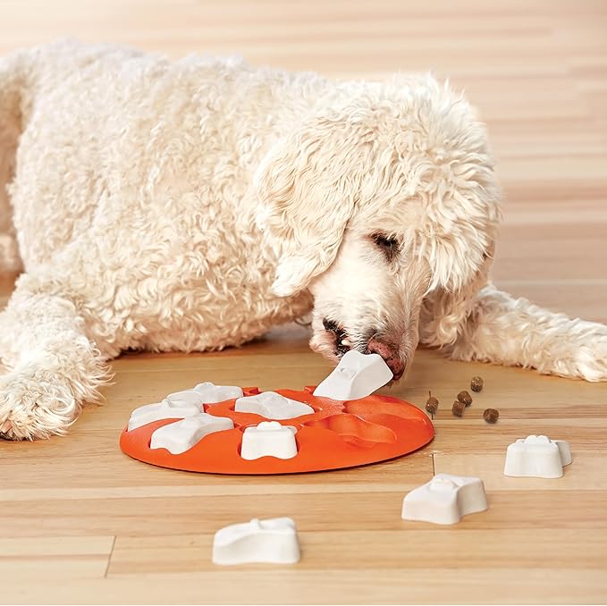 Outward Hound by Nina Ottosson Dog Smart Treat Puzzle Enrichment Toy, Level 1 Beginner, Orange