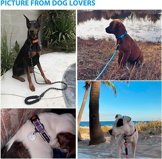 Heavy Duty Dog Leash - Comfortable Padded Handle, 5 ft Long - Dog Leashes for Small Medium Large Dogs (Leash+Collar L Neck 20"-25", Blue)