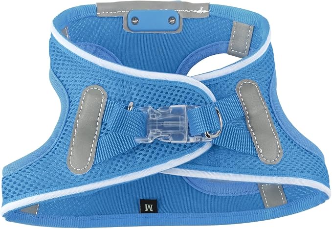 Light Up Dog Harness,Rechargeable LED Dog Harness for Small Medium Large Dogs,Reflective Lighted Safety Vest for Night Walking & Camping,Lightweight & Adjustable,Sky Blue,M