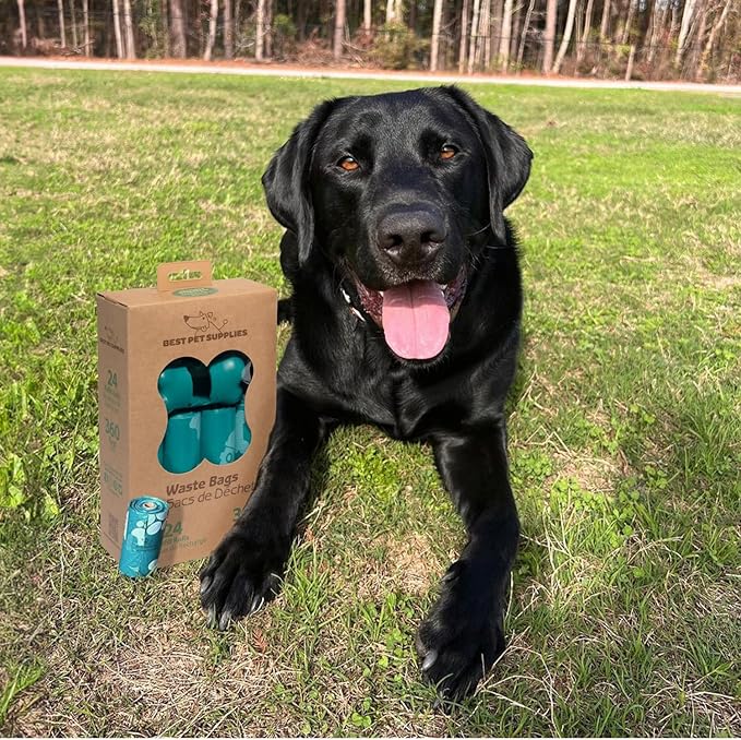 Best Pet Supplies Dog Poop Bags (360 Bags) for Waste Refuse Cleanup, Doggy Roll Replacements for Outdoor Puppy Walking and Travel, Leak Proof and Tear Resistant, Thick Plastic - Turquoise