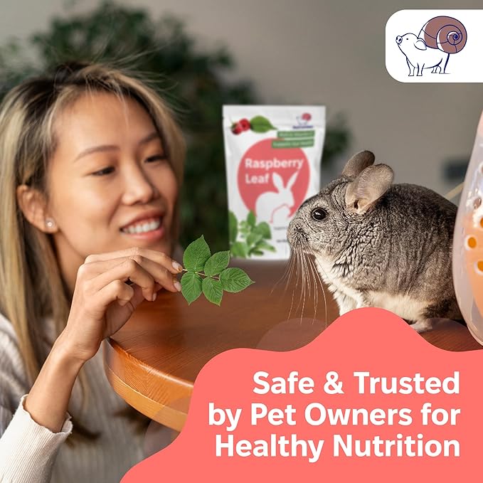 Snout and Shell Raspberry Leaf for Small Pets – 100% Natural Treat for Rabbits, Guinea Pigs, Hamsters & More – Rich in Vitamin C & Supports Gut Health – 1 oz (30g)