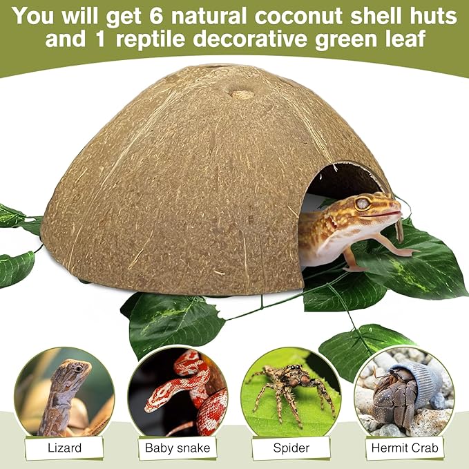 Hamiledyi 7 Pcs Reptile Hideouts Natural Coconut Shells Hut Leopard Gecko Tank Accessories for Aquarium Fish Hermit Crab Hide Cave Small Snake Tarantulas Lizard Chameleon (Without Fiber)
