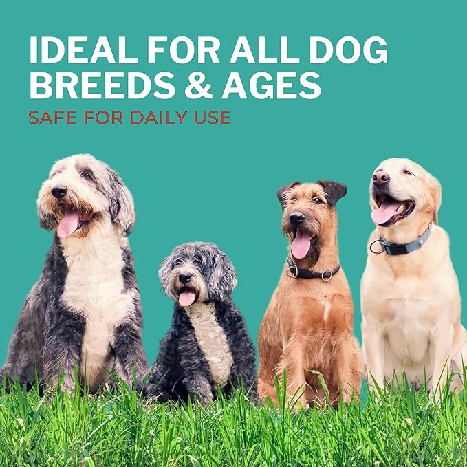 Shoo! Flea & Tick Spray for Dogs and Home | Plant Based, Natural Oils, Chemical Free Formula | Kills, Repels, Prevents | 16 oz (Floral Bliss)