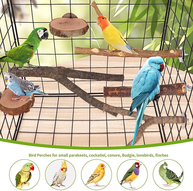 Natural Wood Bird Perches for Cage, Parrot Perch Stand & Platform, Bird Cage Accessories for Parakeets, Cockatiels, Conures, Lovebirds (Brown, Deluxe Playground Set - 12PCS)